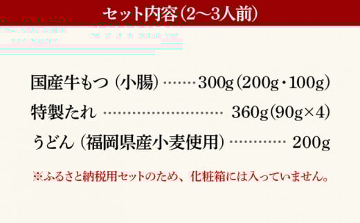 鶏家もつすきセット2～3人前（ふるさと納税限定セット）（株）匠家