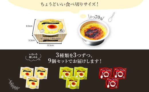 こがしクレームブリュレ（プレーン・抹茶・チョコ）３種×各３個（９個）セット　江口製菓（株）