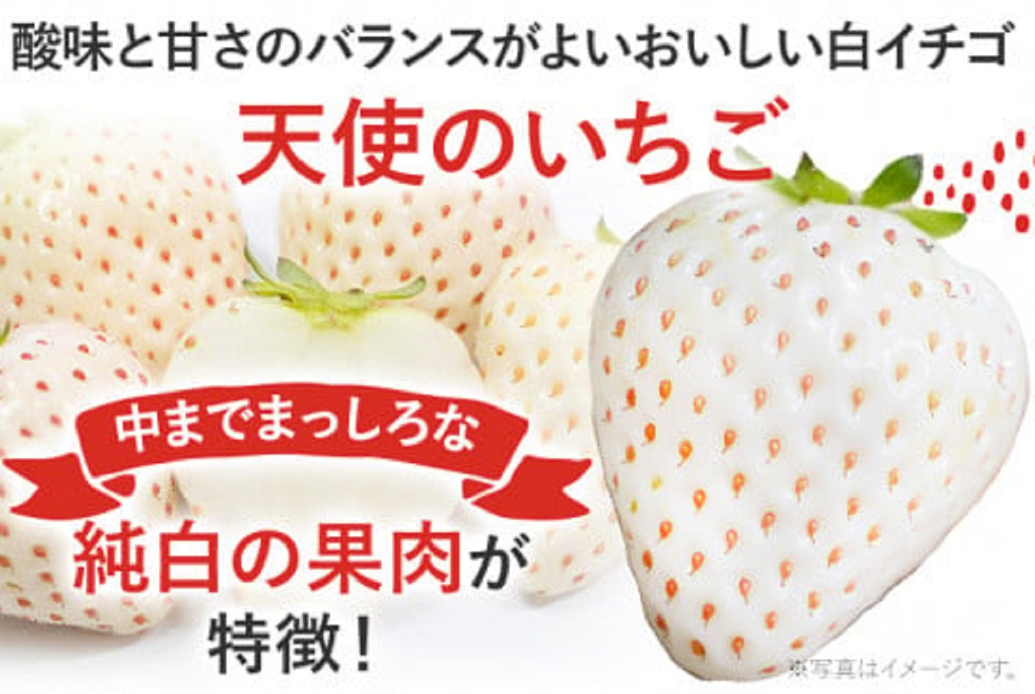 紅白いちごセット(あまおうと天使のいちご)