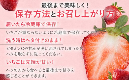 【2026年2月上旬より順次発送】 大粒あまおう 2パック