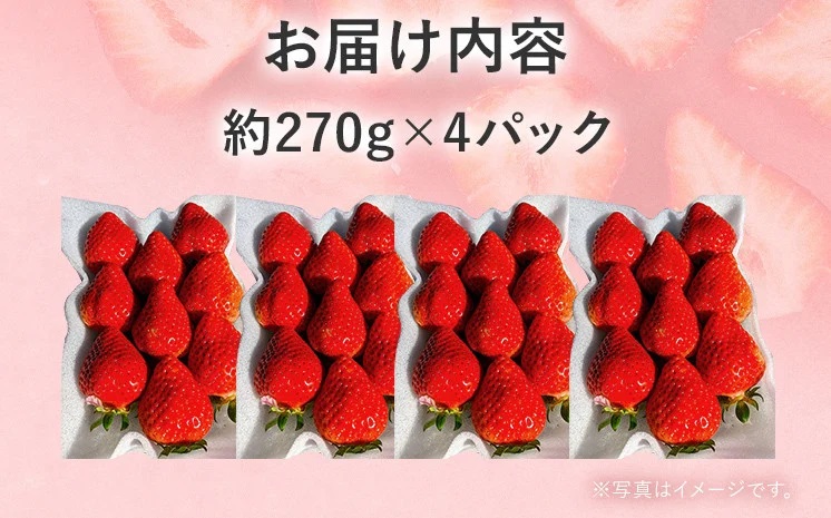 産地直送厳選あまおう 4パックセット（G,2L,2A規格以上）約270g×4パック
