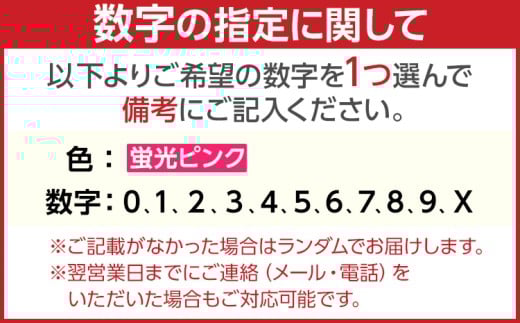  【蛍光ピンク】アクリルナンバーチャーム