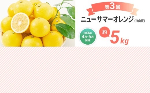  【定期便 3回発送】果物定期便B 2025