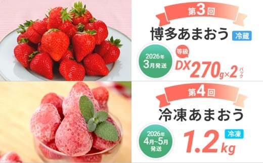  【定期便 6回発送】果物定期便C 2025