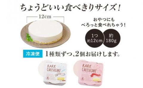 【レアチーズケーキセット】（レアチーズ）プレーン＋ストロベリー　江口製菓(株)