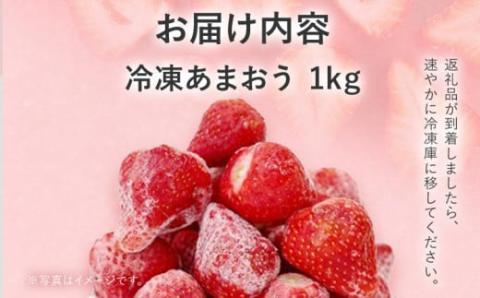 冷凍いちご（あまおう）１キロ