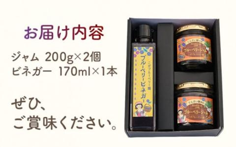 ブルーベリージャム（2個）＆ビネガー（1本）セット
