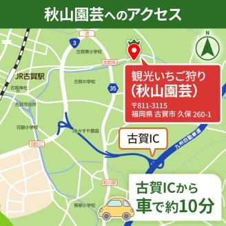 ６０分食べ放題！いちご狩りチケット！（大人１名様分×１枚）