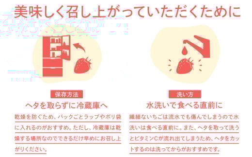  訳あり 小粒あまおう 合計約1240g 約310g×4パック【2026年2月より順次発送】