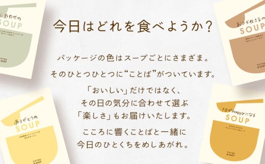  PIETRO A DAY スープ10食セット