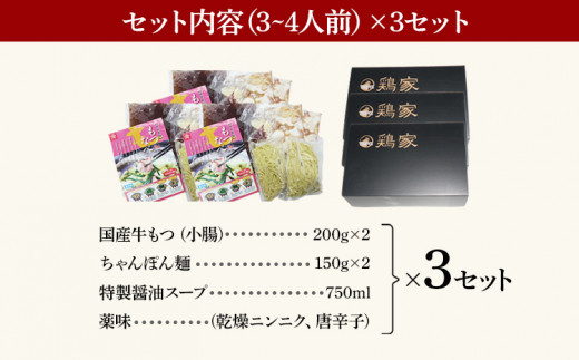 鶏家特選もつ鍋セット（３～４人前×３セット）