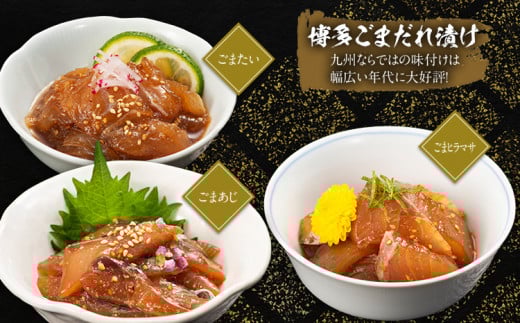 アキラ水産厳選盛合せ　博多幸盛り　（株）アキラ水産