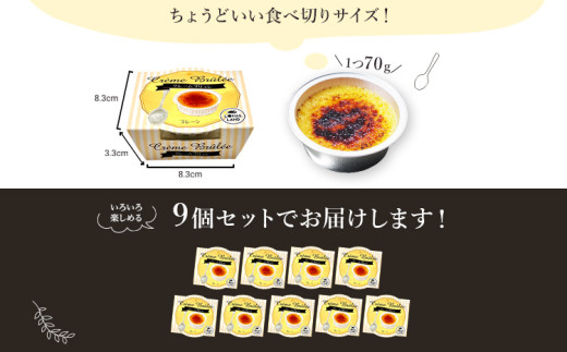 こがしクレームブリュレ（プレーン）＜３個セット×３箱＞　江口製菓㈱