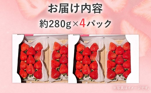 【2026年2月上旬より順次発送】 あまおうDX 約280g×4パック