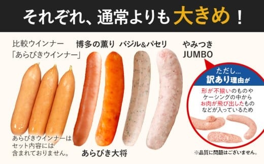 訳あり！特盛！ソーセージ食べ比べまんぷく福袋 合計4.5kg