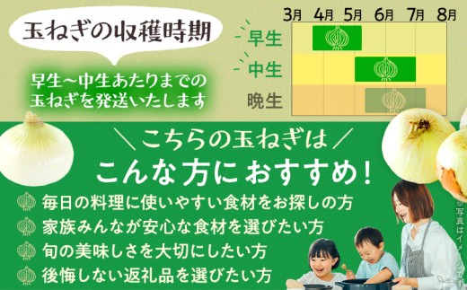 古賀市産玉ねぎ　2kg