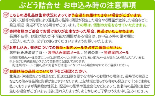 ぶどう詰合せ（シャインマスカット＋珍しいぶどう）