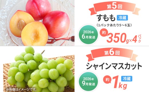  【定期便 6回発送】果物定期便C 2025