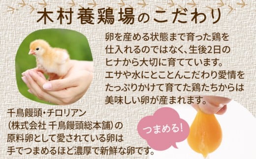 【定期便(6回発送)】木村さんちのたまご（後期）定期便 2025