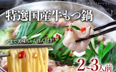 鶏家特選もつ鍋セット2～3人前（ふるさと納税限定セット）