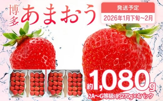 【2026年1月下旬～2月順次発送】あまおう 合計約1,080g 約270g×4パック