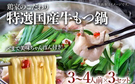 鶏家特選もつ鍋セット（３～４人前×３セット）