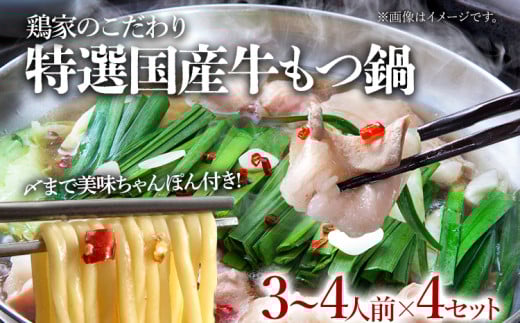 鶏家特選もつ鍋セット（３～４人前×4セット）　（株）匠家