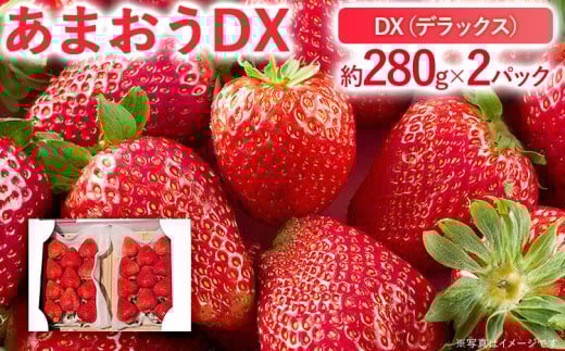 【2026年2月上旬より順次発送】 あまおうDX 約280g×2パック