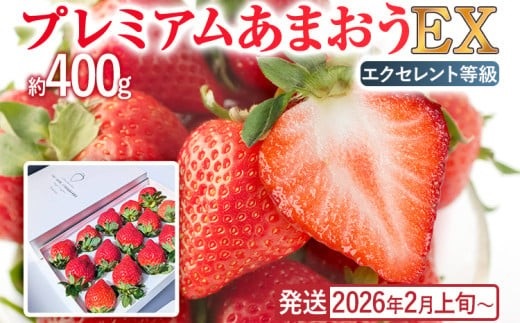 プレミアム あまおう EX（化粧箱入り）いちご フルーツ 果物 あまおう 約400g×1パック