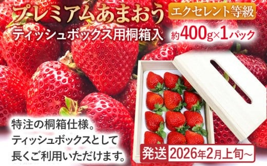 プレミアムあまおうEX (ティッシュボックス用特別仕様の桐箱入り）いちご フルーツ 果物 あまおう 約400g×1パック