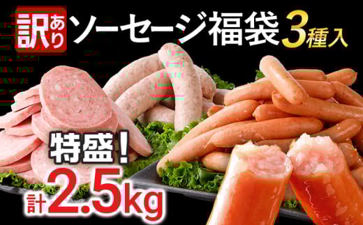 訳あり！ソーセージ食べ比べまんぷく福袋 合計2.5kg