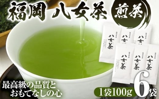 福岡 八女茶 煎茶 600g（100g×6袋）