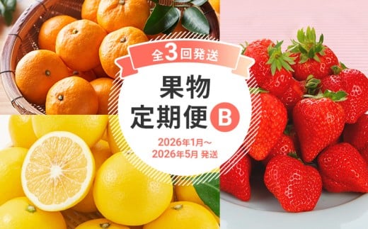  【定期便 3回発送】果物定期便B 2025