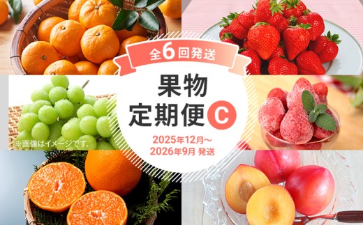  【定期便 6回発送】果物定期便C 2025