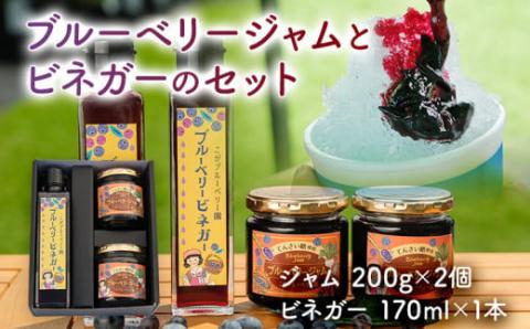 ブルーベリージャム(2個)&ビネガー(1本)セット