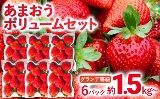 [2026年2月上旬より順次発送] あまおう ボリュームセット 6パック グランデ等級