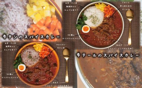【本格スパイス】国産牛テールのスパイスカレーと牛タンのスパイスカレー食べ比べセット250g×各3パック　計6パック[F4470]