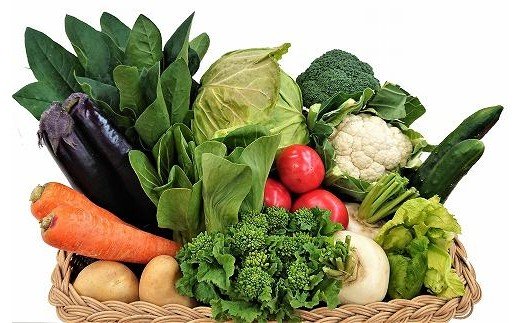 穫れたて！野菜・果物詰め合わせ10品★あんずの里[G0042]