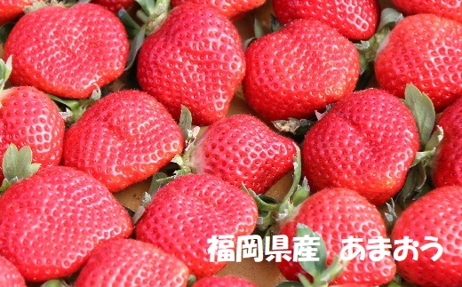 【2026年1月発送開始】いちご2種食べ比べセット「あまおう」「さちのか」各2パック計1,160g★あんずの里[G0073]