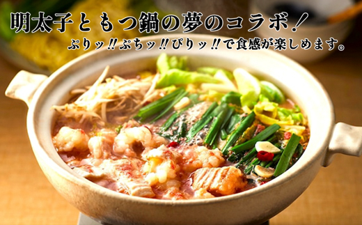 【鍋定期便】大容量！博多明太もつ鍋10人前セット【明太子100g×3個付き】3回定期便（10人前×3回）[G0093T3]