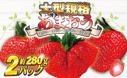 【2026年2月より順次発送】★大玉規格★博多あまおう2パック　約560g[G2224]