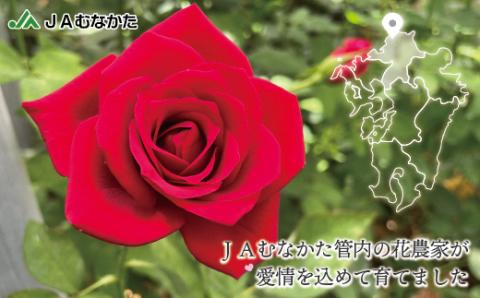 大切な人へのギフト、贈り物に！バラの花束ミックス15本[F2282]