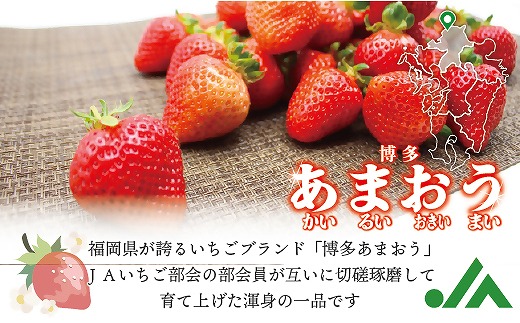 【2026年3月より順次発送】食べきりサイズ！博多あまおう8パック　約1440g（2L～Lサイズ）[G2319]