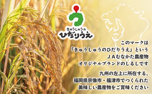 【米定期便】【年6回偶数月】【2026年2月発送開始】JAよりお届け！福岡県ブランド米「夢つくし」10kg（5kg×2袋）×6回 計60kg[G5062b]
