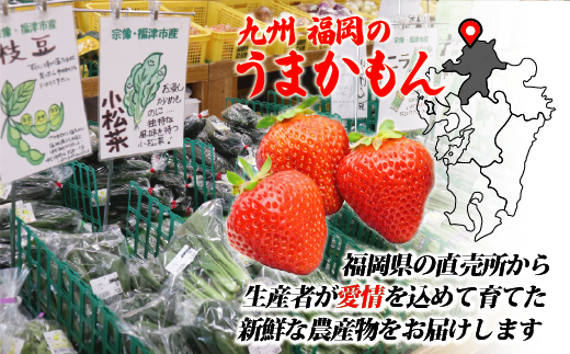 【年6回奇数月】福津・むなかた旬の野菜と果物定期便　計8品【随時開始】[G5380]