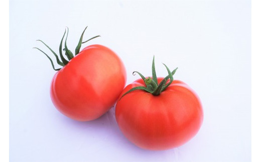 【4ヶ月定期便】福津のトマトバラエティセット（3～6月）★あんずの里[G7008]