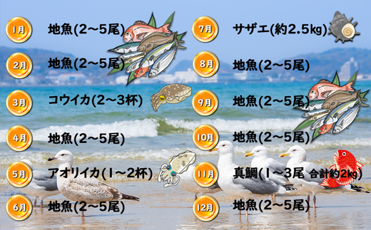 【年12回毎月】福津の旬の魚介類こだわり定期便【加工承り】【随時開始】[G7016]