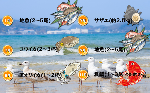 【年6回奇数月】福津の旬の魚介類こだわり定期便【加工承り】【随時開始】[G7018]