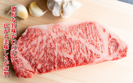 【お肉定期便】博多和牛サーロインステーキ3回定期便（500g×3回）計1.5kg[G0128T3]