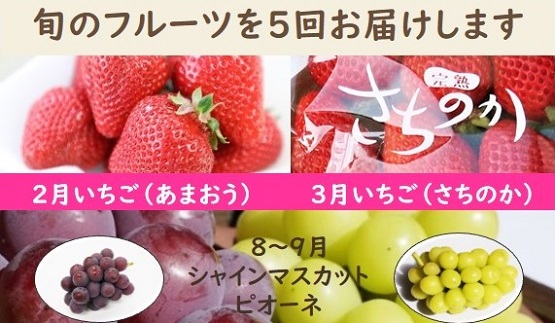 【年5回】旬のフルーツ定期便★あんずの里【随時開始】[G7032]